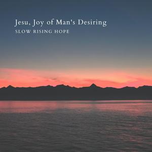 宅男视频在线入口播放
