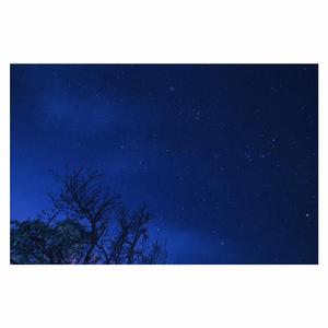 男男攻受无遮删视频网站
