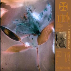 欧美XXX柔术做爰
