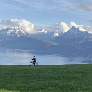 黄软下载推荐排行
